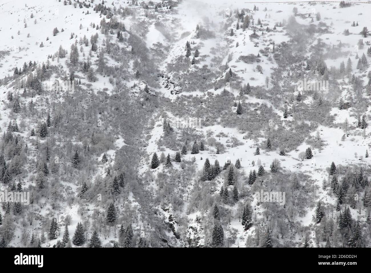 La forêt enneigée dans les Alpes de la France. Valloire de région Rhône-Alpes. Banque D'Images