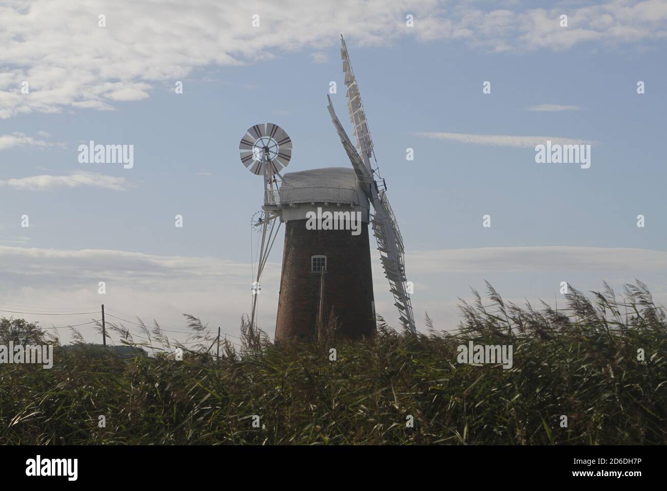 Un moulin à vent à cheval sur les Norfolk Broads Banque D'Images