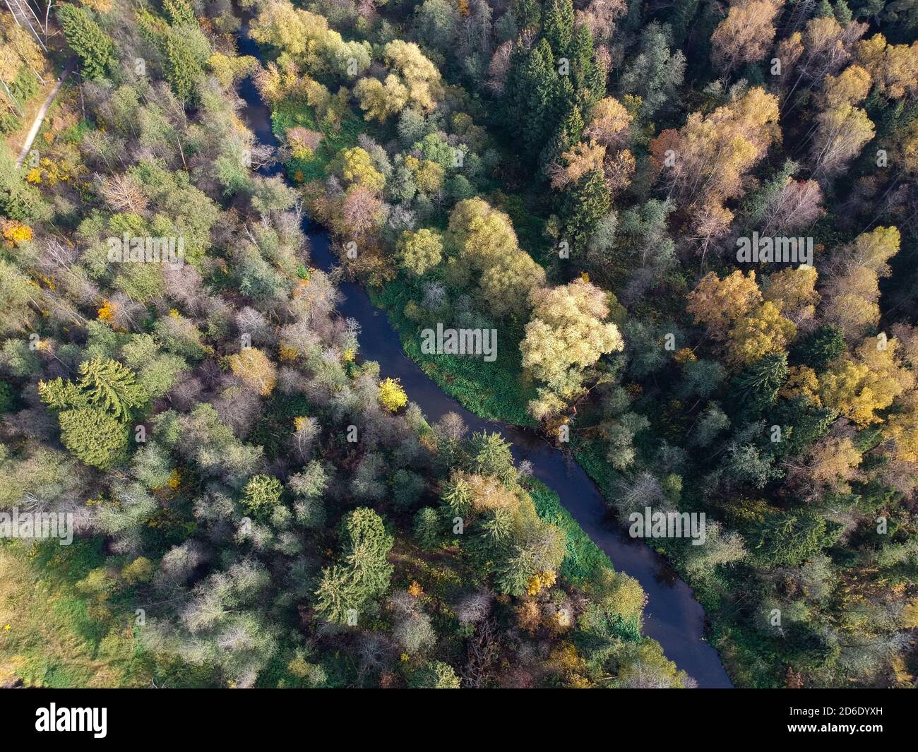 Vue aérienne de drone sur la forêt d'automne et la petite rivière une journée ensoleillée Banque D'Images