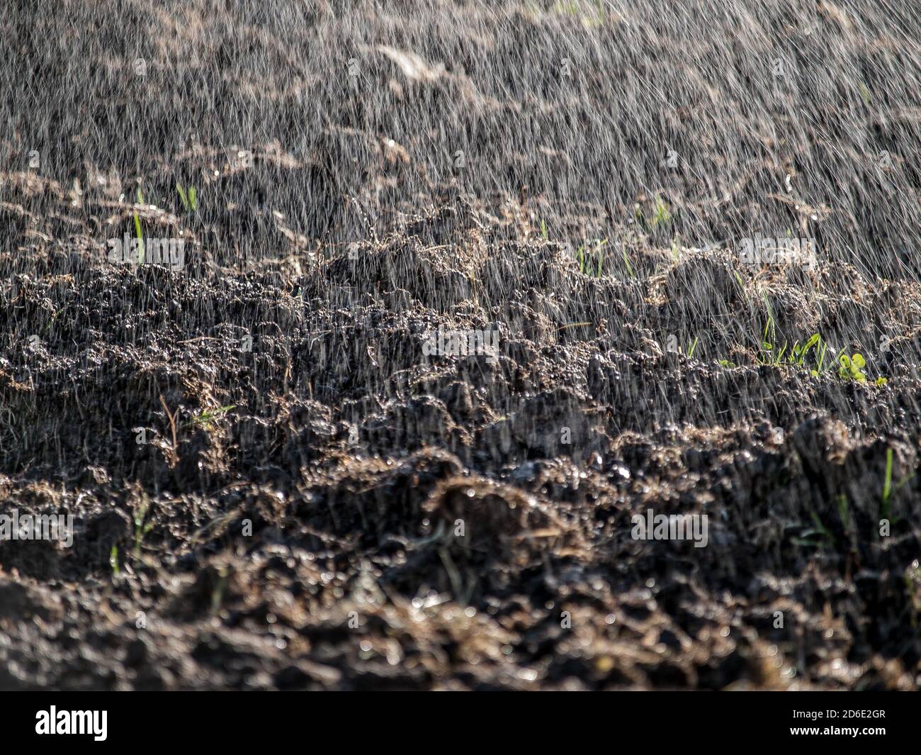 Gouttes d'eau pulvérisées tombant sur des terres cultivées comme la pluie Banque D'Images