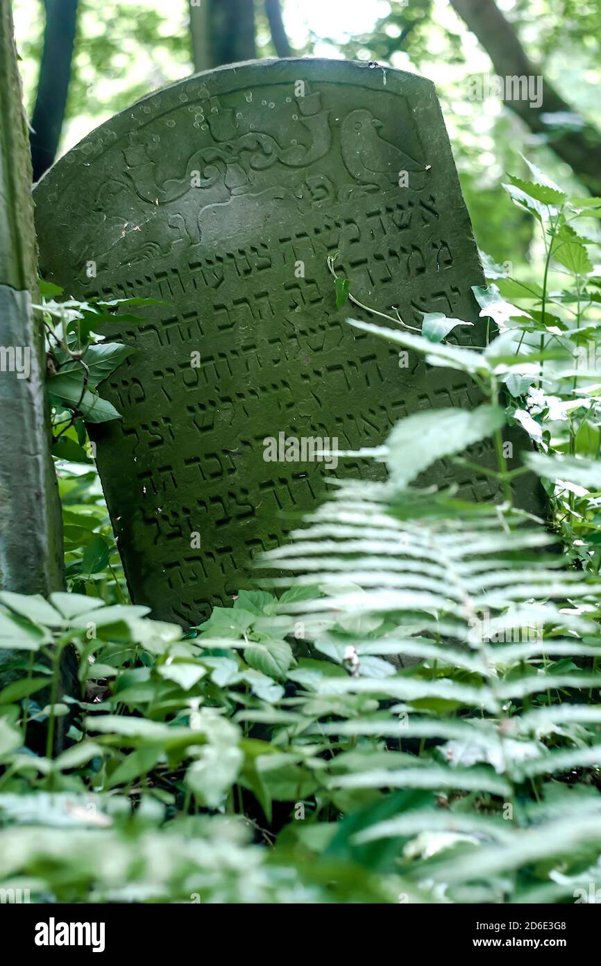 La pierre tombale abandonnée sur le cimetière juif de la ville polonaise de Przemysl Subcarpathia Banque D'Images