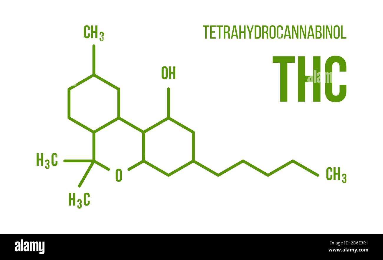 Tétrahydrocannabinol chimie Formule cannabis sur fond blanc symbole vecteur isolé. Illustration de la structure moléculaire du THC Illustration de Vecteur