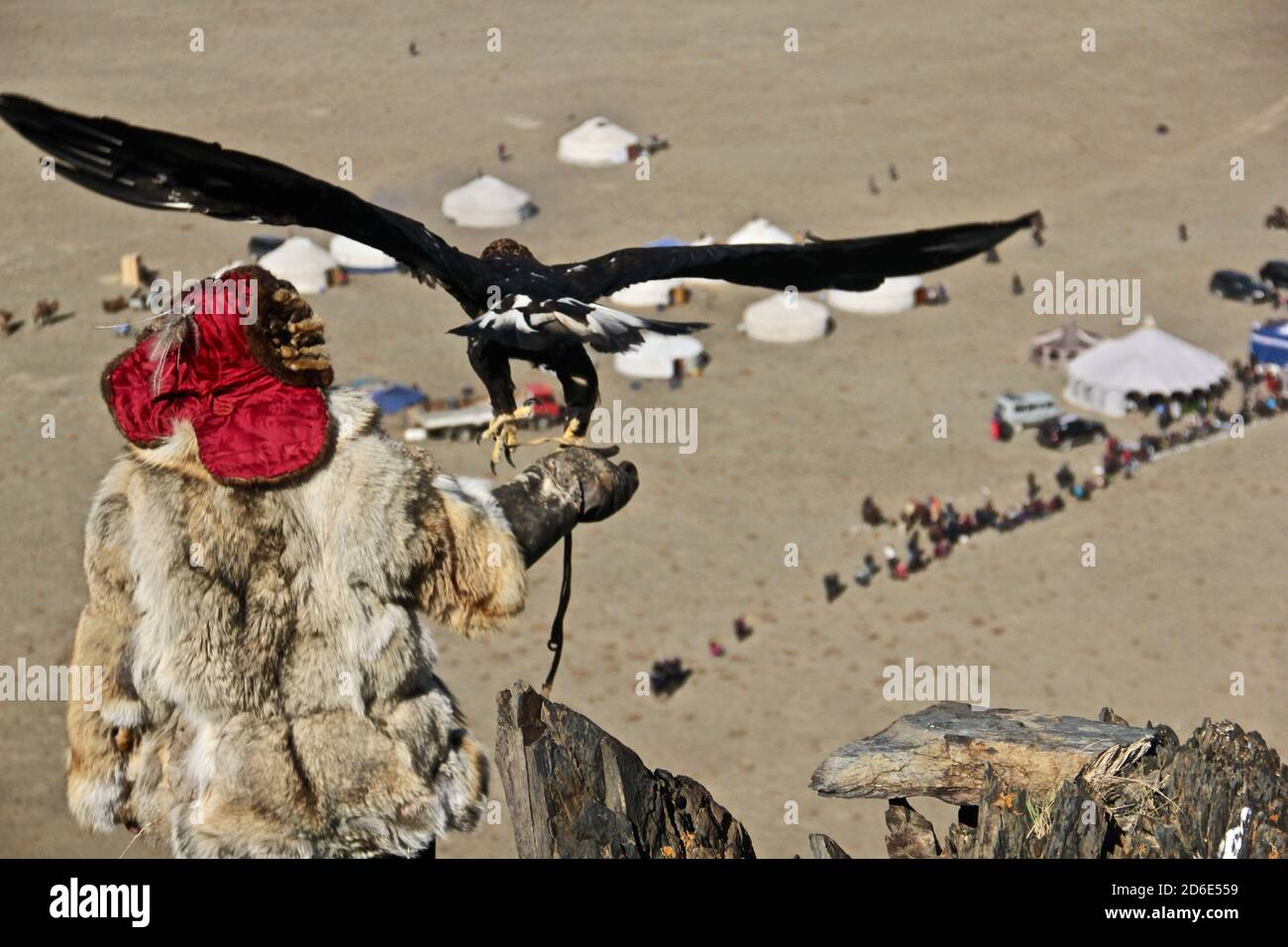Photo sélective d'un chasseur d'aigle avec son aigle doré à Bayan Olgii, en Mongolie occidentale Banque D'Images