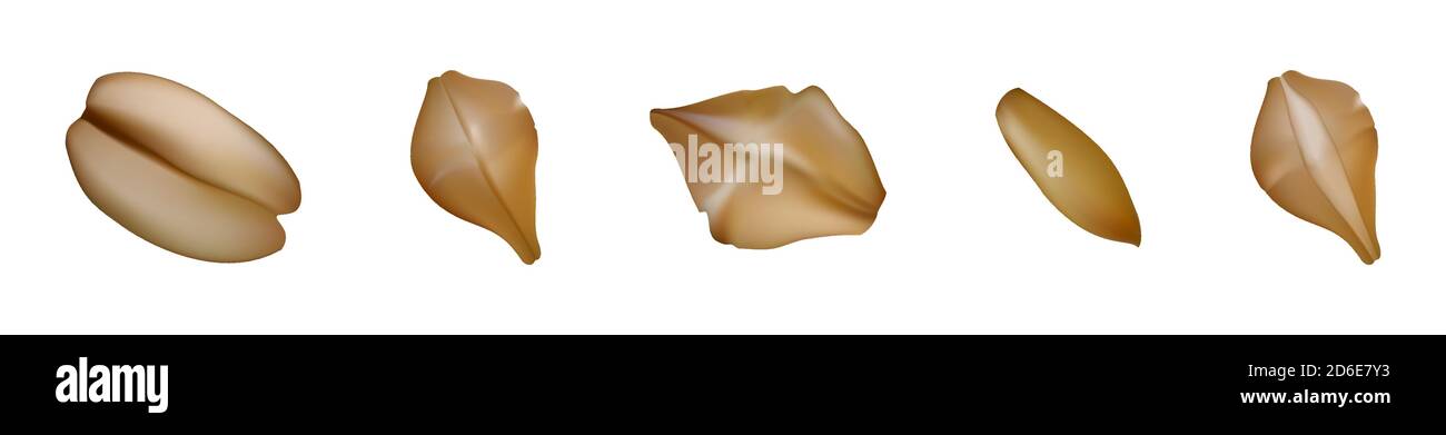 Illustration réaliste des grains de flocons d'avoine. Concept de saine alimentation, nourriture biologique isolée sur blanc. Ingrédient nutritionnel sportif. Illustration de Vecteur