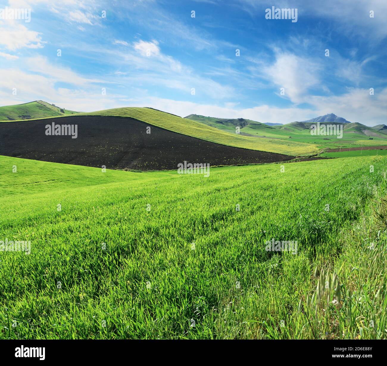 collines terre d'herbe sous les nuages blancs et ciel bleu de Sicile campagne Banque D'Images