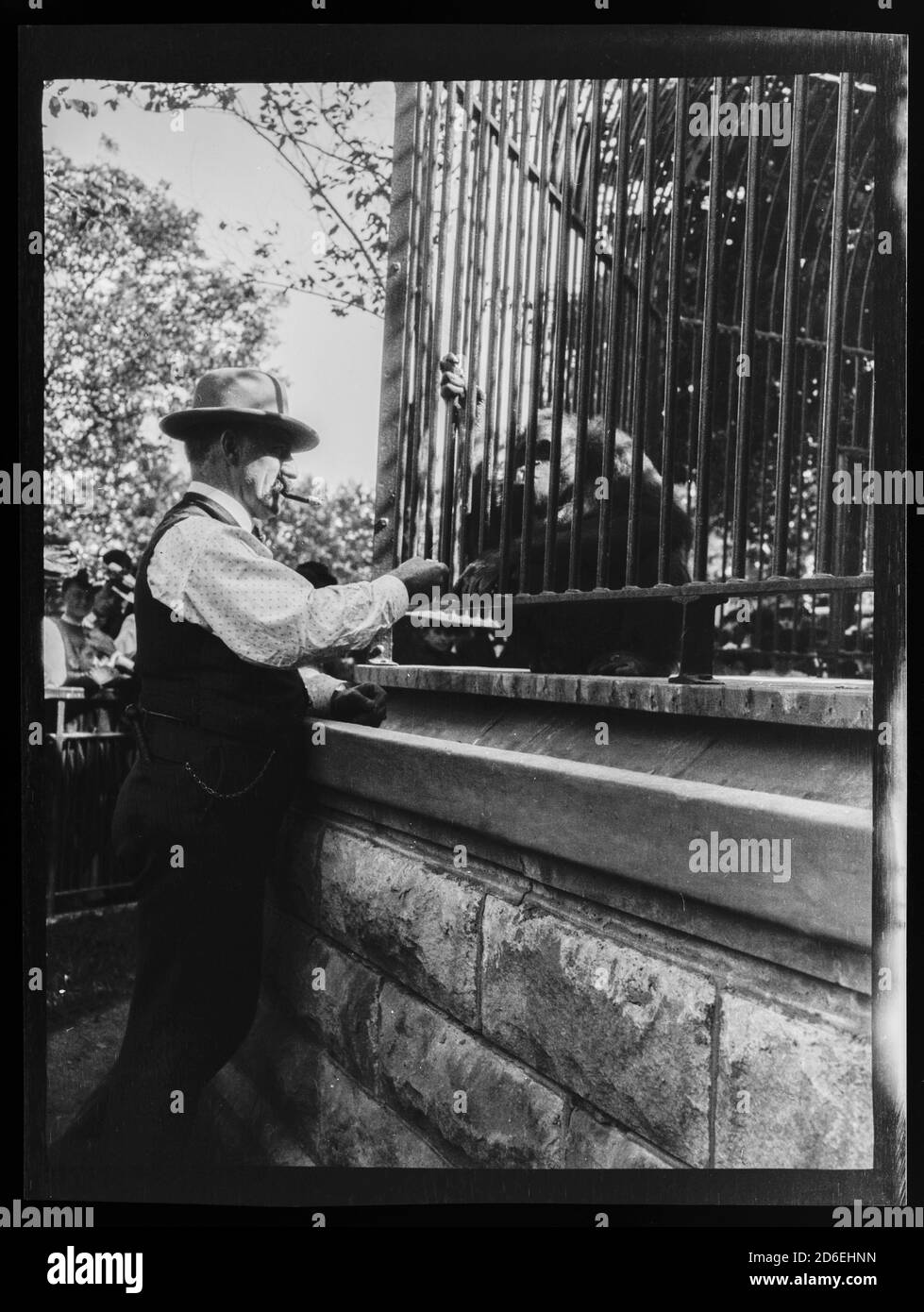 CY Devry, Surintendant des animaux au zoo de Lincoln Park, Chicago, Illinois, 1906. Banque D'Images