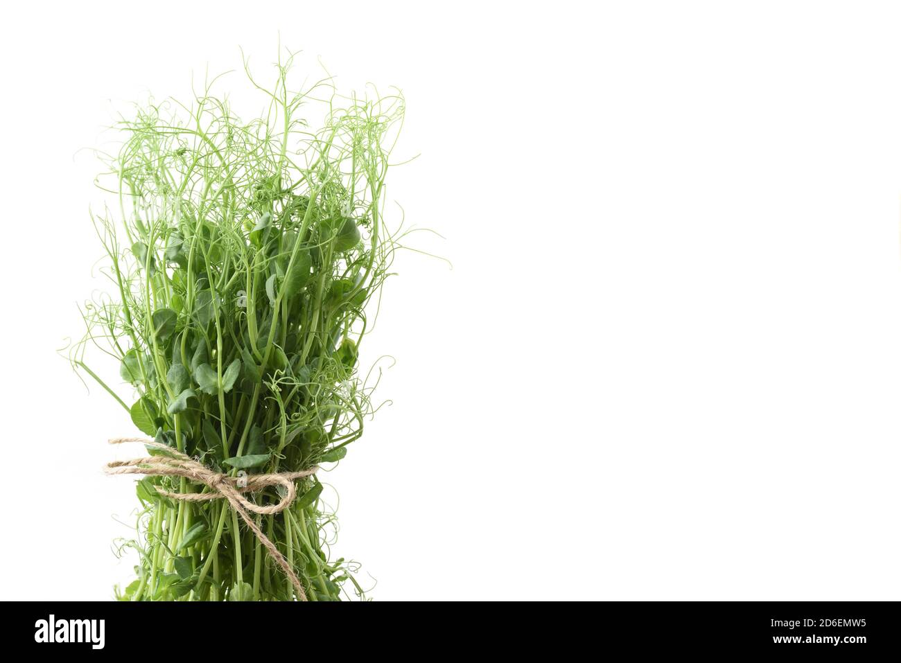 Aliments biologiques sains présents. Bouquet de rondelles de pois avec tendrils attaché avec corde de chanvre vue latérale Copy space Banque D'Images