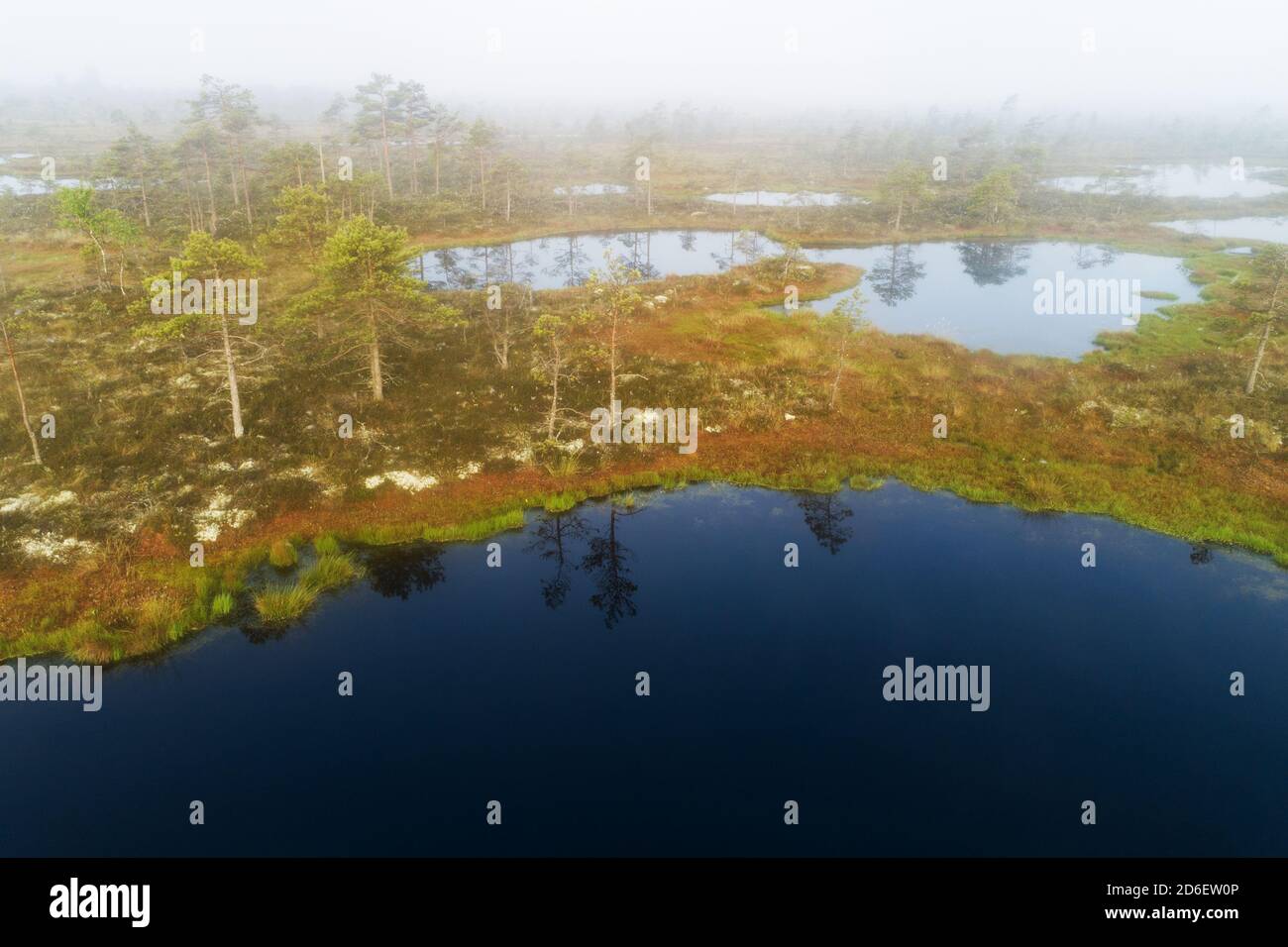 Parc national de Soomaa. Vue aérienne des lacs de tourbière à Kuresoo tourbière pendant le lever de soleil brumeux en été dans la nature estonienne, en Europe du Nord. Banque D'Images