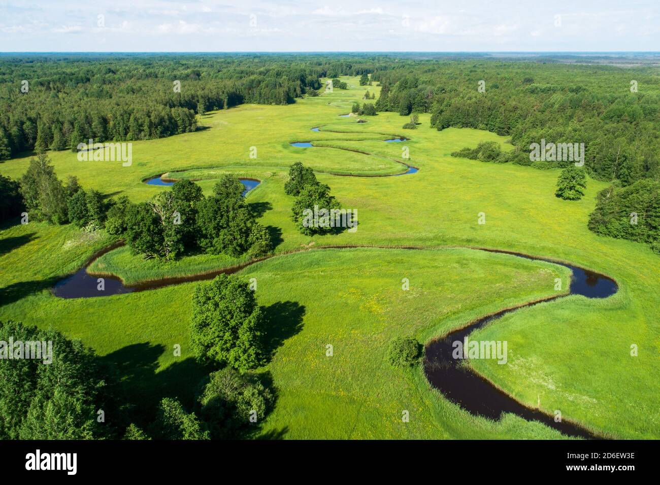 Parc national de Soomaa. Vue aérienne de la végétation luxuriante et ensoleillée de la prairie boisée de Mulgi dans la nature estonienne, en Europe du Nord. Banque D'Images