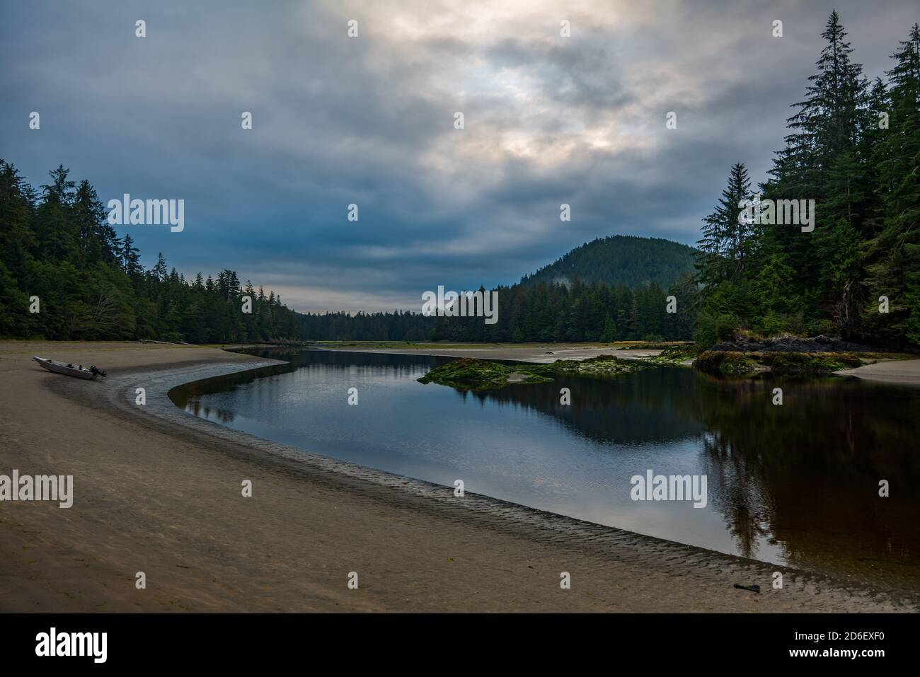 La belle rivière San Josef, le matin nuageux, avec réflexion dans le parc provincial Cape Scott, sur l'île de Vancouver, Colombie-Britannique, Canada. Banque D'Images La belle rivière San Josef, le matin nuageux, avec réflexion dans le parc provincial Cape Scott, sur l'île de Vancouver, Colombie-Britannique, Canada. Banque D'Images