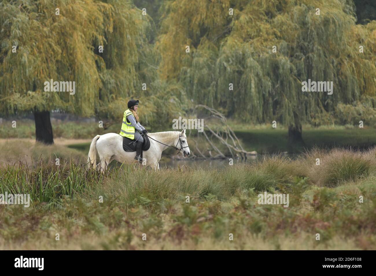 Horse and Rider Bushy Park Londres Banque D'Images
