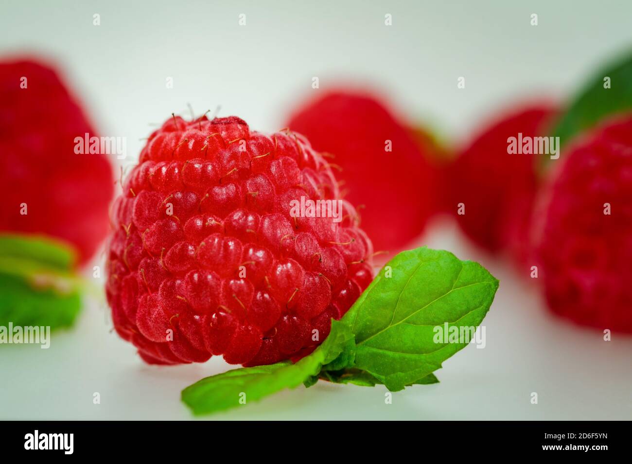 image macro d'un congé de framboise et de menthe Banque D'Images