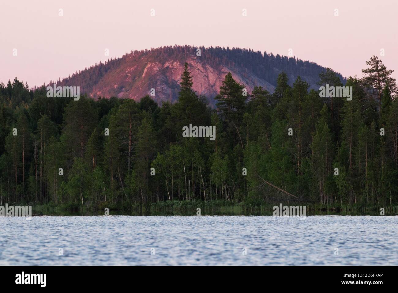 Une grande colline au lever du soleil en milieu d'été dans la forêt finlandaise de taïga, en Europe du Nord. Banque D'Images
