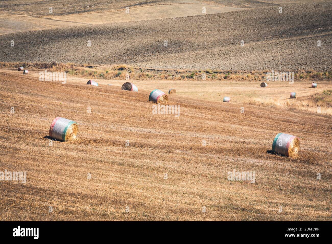 Paysage d'été avec foin en balles dans les collines de Castiglione d'Orcia, province de Sienne, Toscane, Italie Banque D'Images