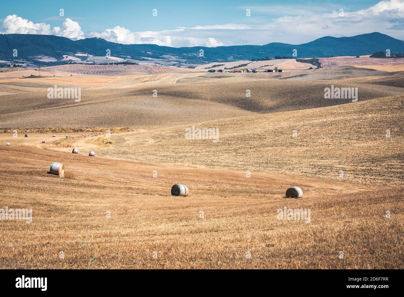 Paysage d'été avec foin en balles dans les collines de Castiglione d'Orcia, province de Sienne, Toscane, Italie Banque D'Images