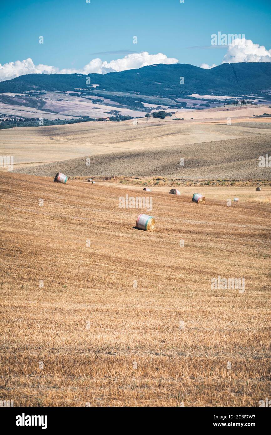 Paysage d'été avec foin en balles dans les collines de Castiglione d'Orcia, province de Sienne, Toscane, Italie Banque D'Images