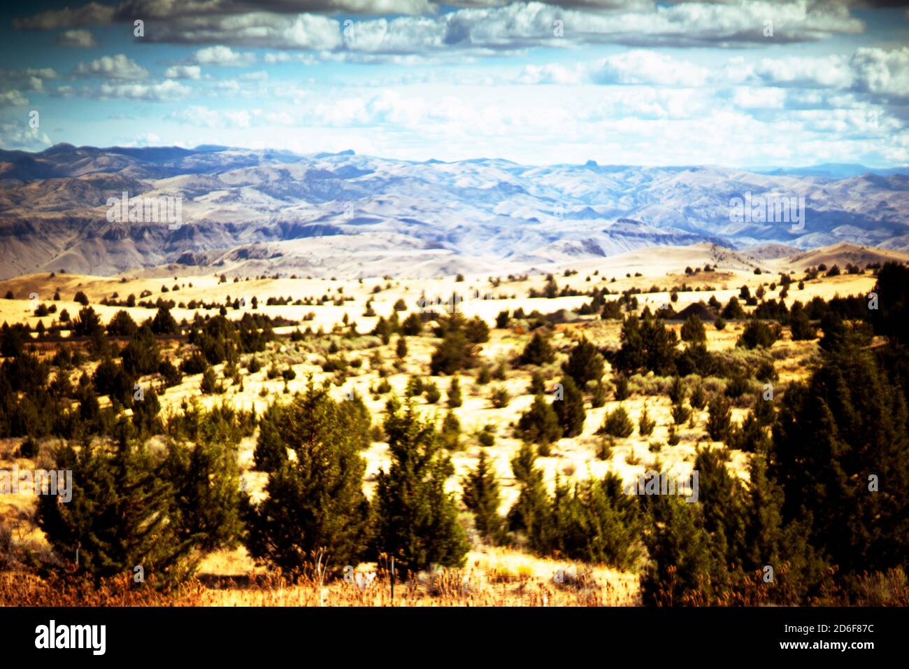 Paysages accidentés, Oregon, États-Unis Banque D'Images