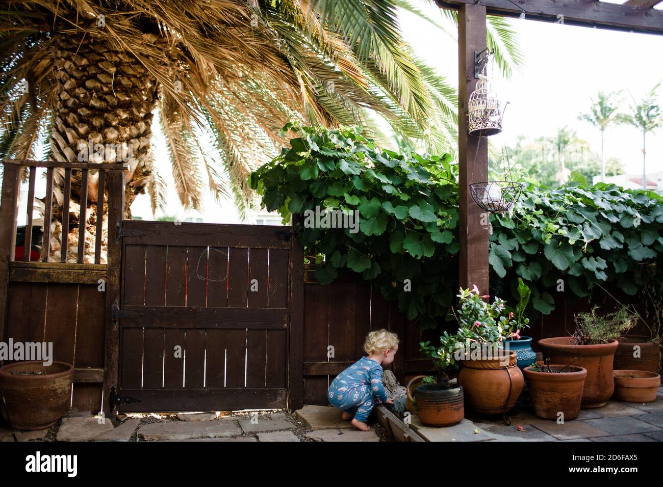 Crouching vieux de deux ans sur le patio Banque D'Images