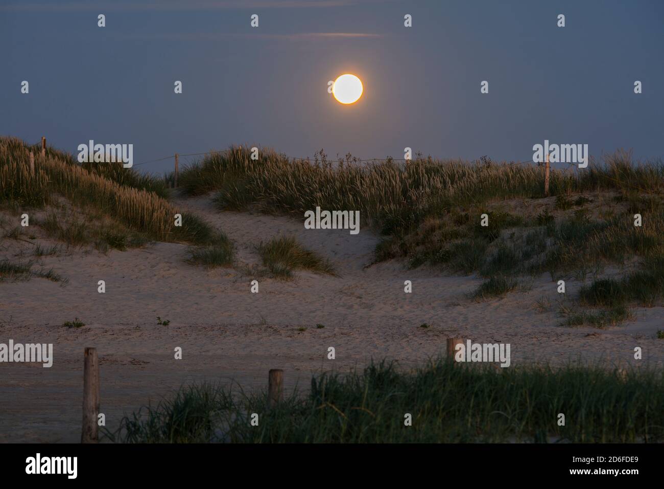 Sankt Peter Ording, paysage de dunes, dunes, lune, lune Banque D'Images