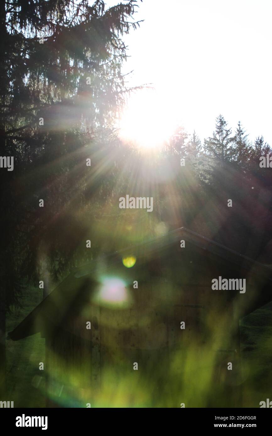 Allemagne, Bavière, Mittenwald, prairie, cabane Banque D'Images