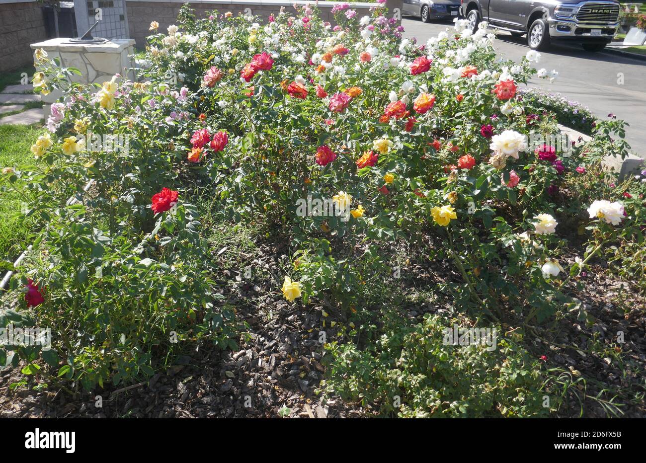 Los Angeles, Californie, États-Unis 16 octobre 2020 UNE vue générale de l'atmosphère de Rose Garden à Pierce Brothers Westwood Village Memorial Park, où les cendres de l'acteur Victor Kilian ont été dispersées ici le 16 octobre 2020 à Los Angeles, Californie, États-Unis. Photo par Barry King/Alay stock photo Banque D'Images