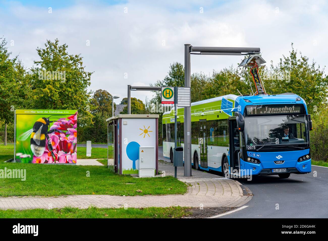 Bus électrique de Stadtwerke Münster, à une station de charge rapide, arrêt de bus, point de tournant Dieckmannstrasse à Münster Gievenbeck, 16 E-bus courant Banque D'Images