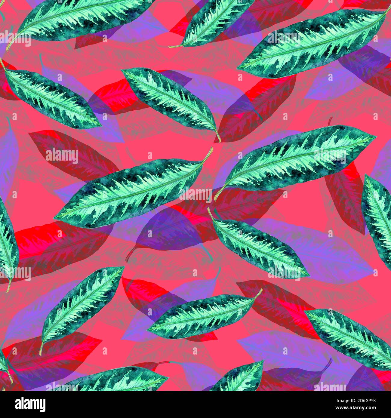 Maranta rayé feuilles vertes et violettes, peint à la main aquarelle illustration motif sans couture sur fond rose Banque D'Images