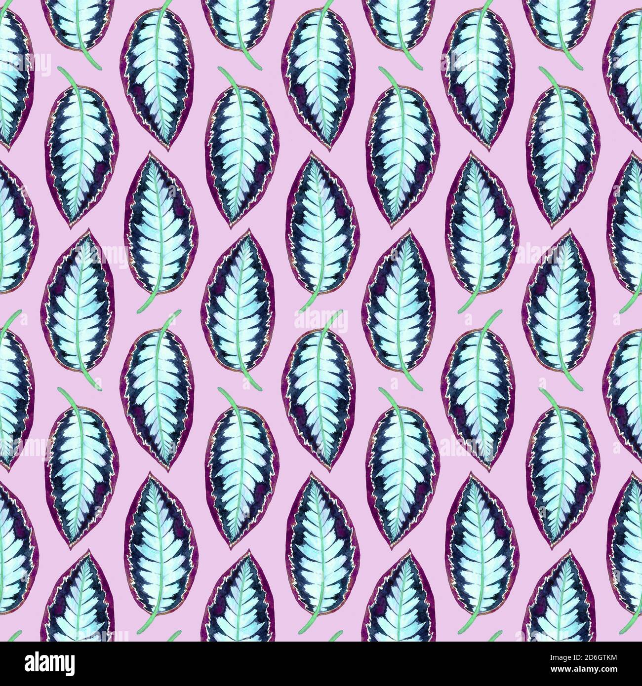 Maranta rayures feuilles, peint à la main aquarelle illustration motif sans couture sur fond rose doux Banque D'Images