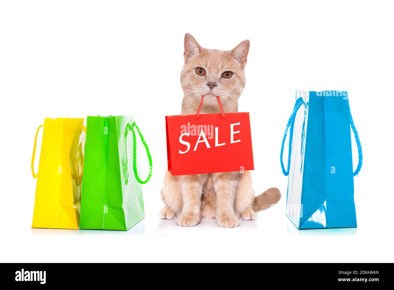 cat avec des sacs d'achats prêts à la réduction et à la vente au centre commercial, isolé sur fond blanc Banque D'Images