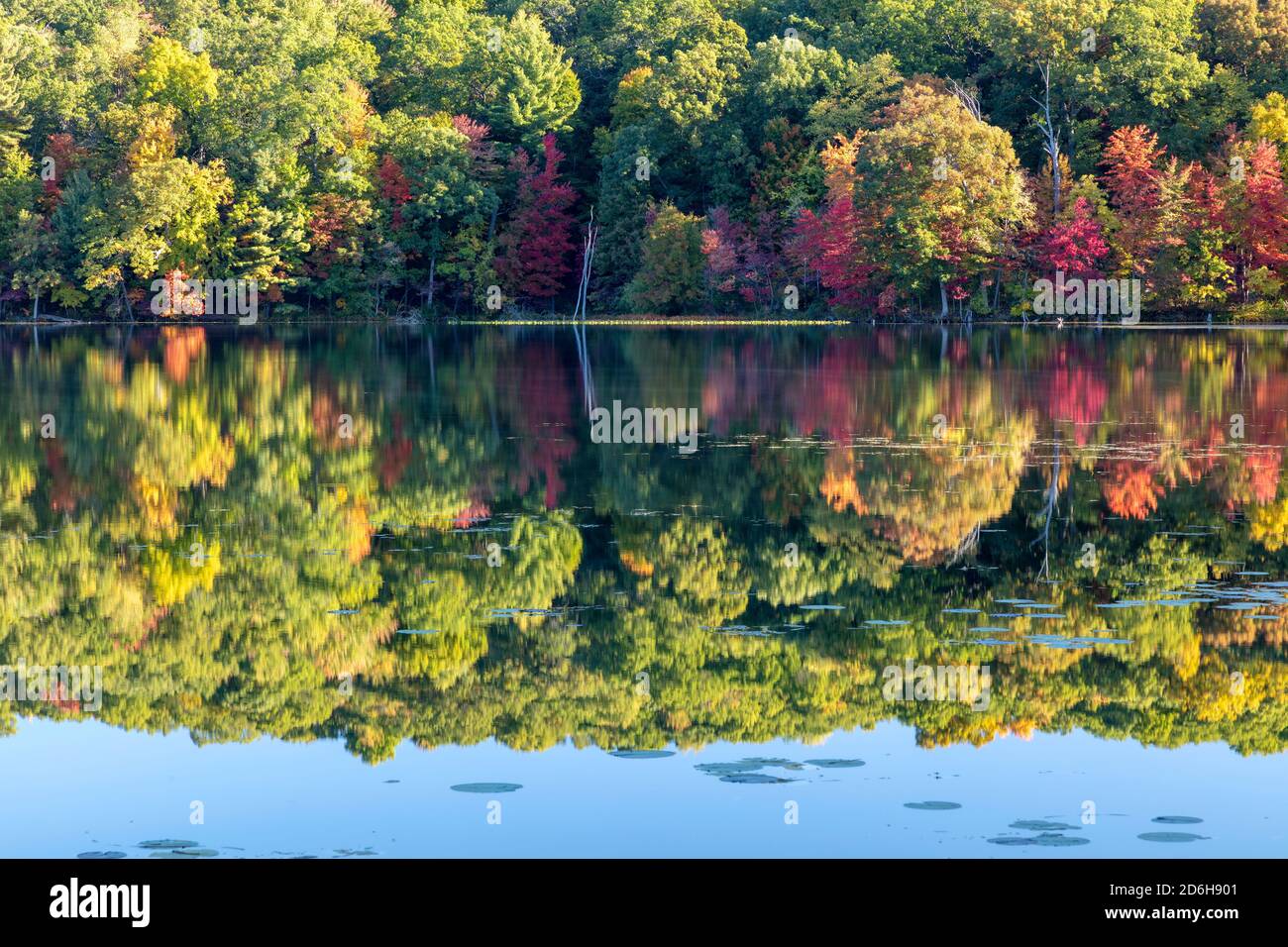 Hall Lake, automne, Yankee Springs Recreation Area, MI, États-Unis, par James D Coppinger/Dembinsky photo Assoc Banque D'Images
