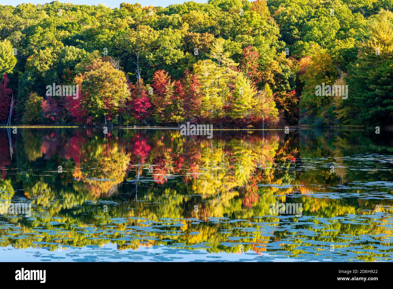 Hall Lake, automne, Yankee Springs Recreation Area, MI, États-Unis, par James D Coppinger/Dembinsky photo Assoc Banque D'Images