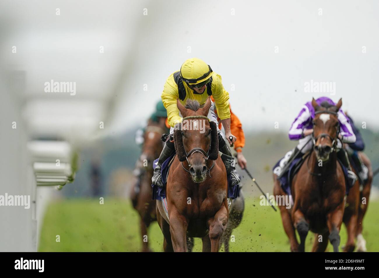 Addeybb, monté par Tom Marquand Riding (à gauche), remporte les enjeux Qipco Champion à l'hippodrome d'Ascot. Banque D'Images