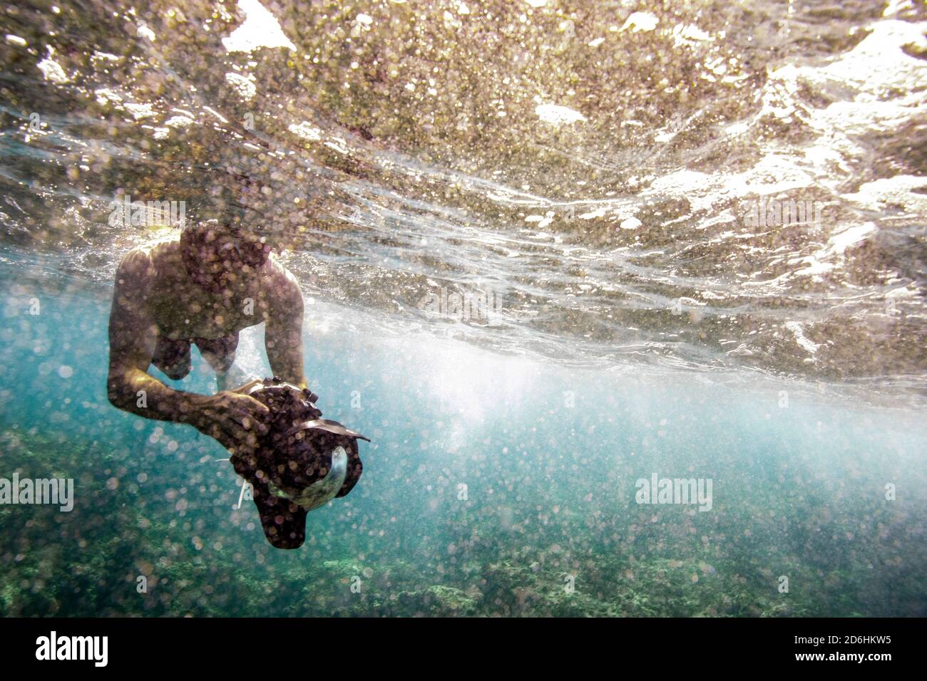 Un photographe sous-marin flotte à la surface de l'océan Oahu Banque D'Images Un photographe sous-marin flotte à la surface de l'océan Oahu Banque D'Images