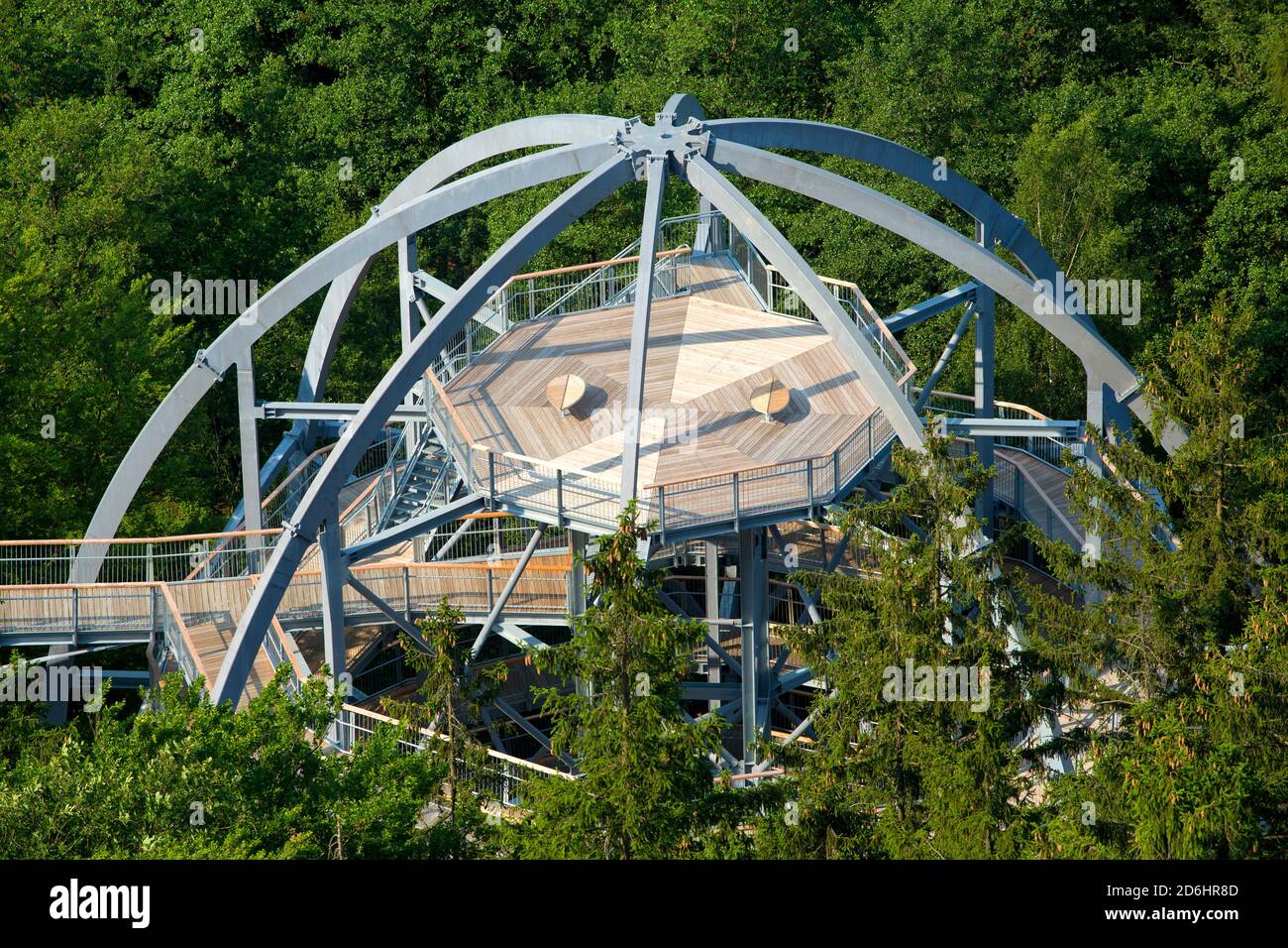 Allemagne, Niedersachsen, Harz, Bad Harzburg, Baumwipfelpfad, Banque D'Images Allemagne, Niedersachsen, Harz, Bad Harzburg, Baumwipfelpfad, Banque D'Images