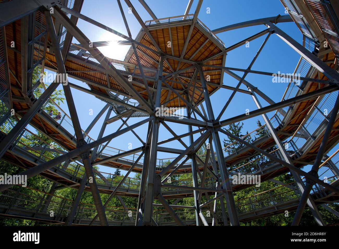 Allemagne, Niedersachsen, Harz, Bad Harzburg, Baumwipfelpfad, Banque D'Images Allemagne, Niedersachsen, Harz, Bad Harzburg, Baumwipfelpfad, Banque D'Images