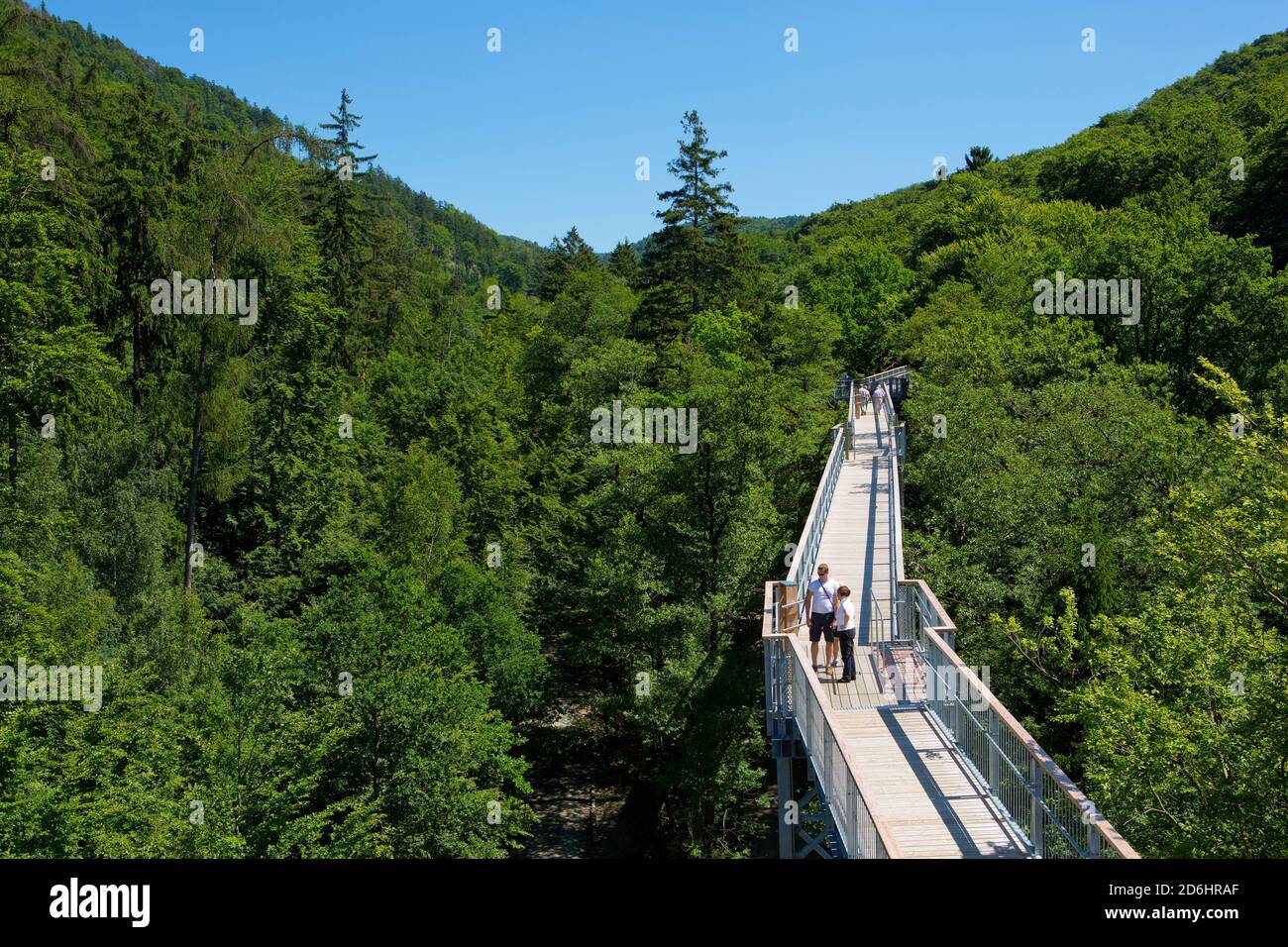 Allemagne, Niedersachsen, Harz, Bad Harzburg, Baumwipfelpfad, Banque D'Images Allemagne, Niedersachsen, Harz, Bad Harzburg, Baumwipfelpfad, Banque D'Images