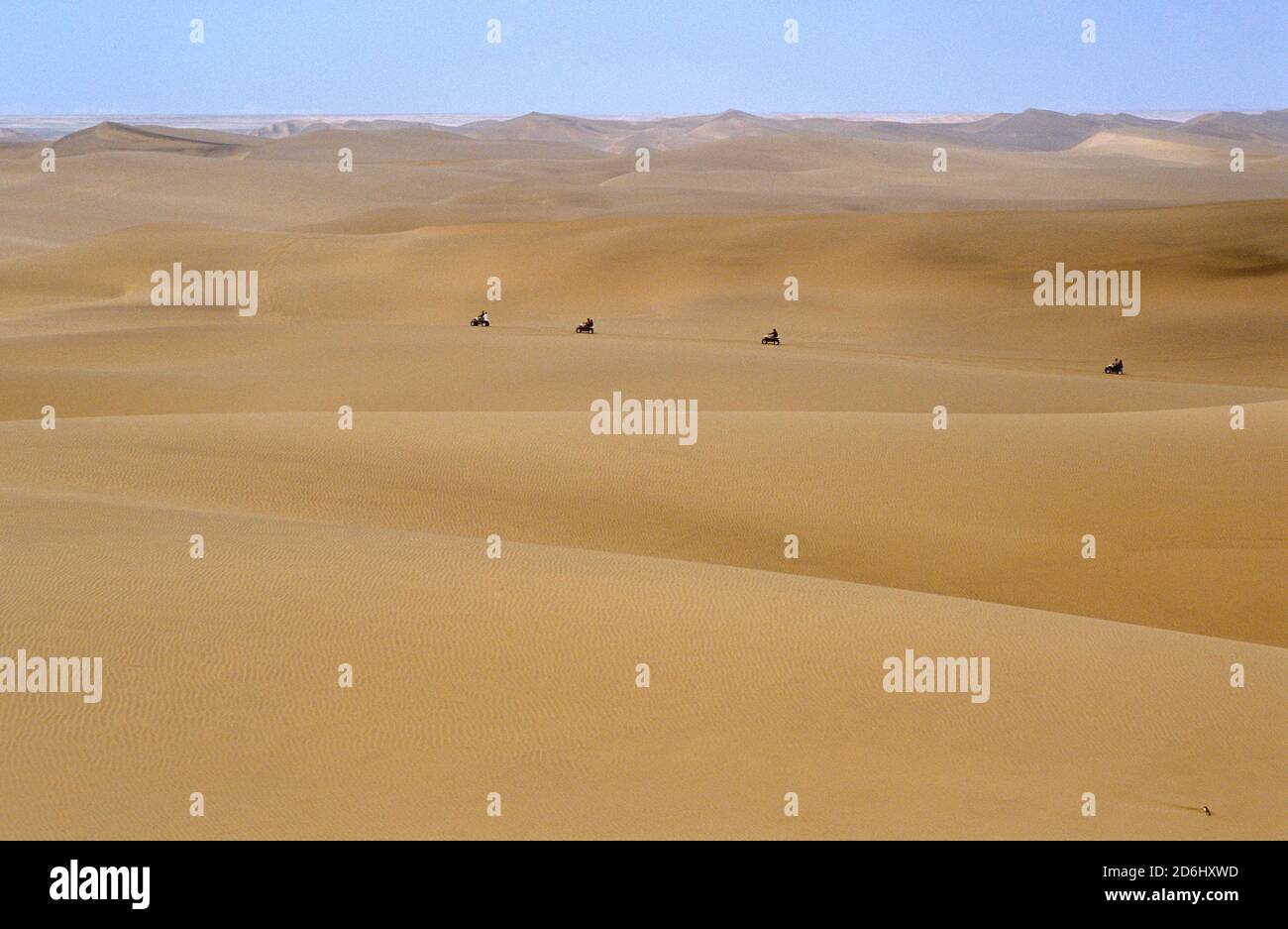 Équitation dans Dunes, Namibie Banque D'Images