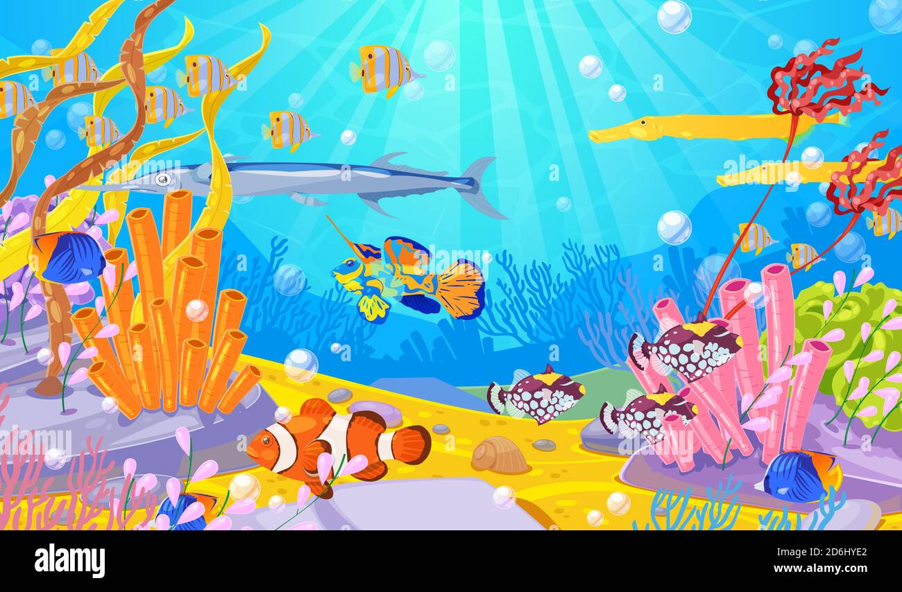 Vie marine sous-marine, illustration de dessin animé vectoriel. Océan ou fond de mer avec des poissons colorés, des récifs coralliens et des algues. Plongée ou aquarium Illustration de Vecteur