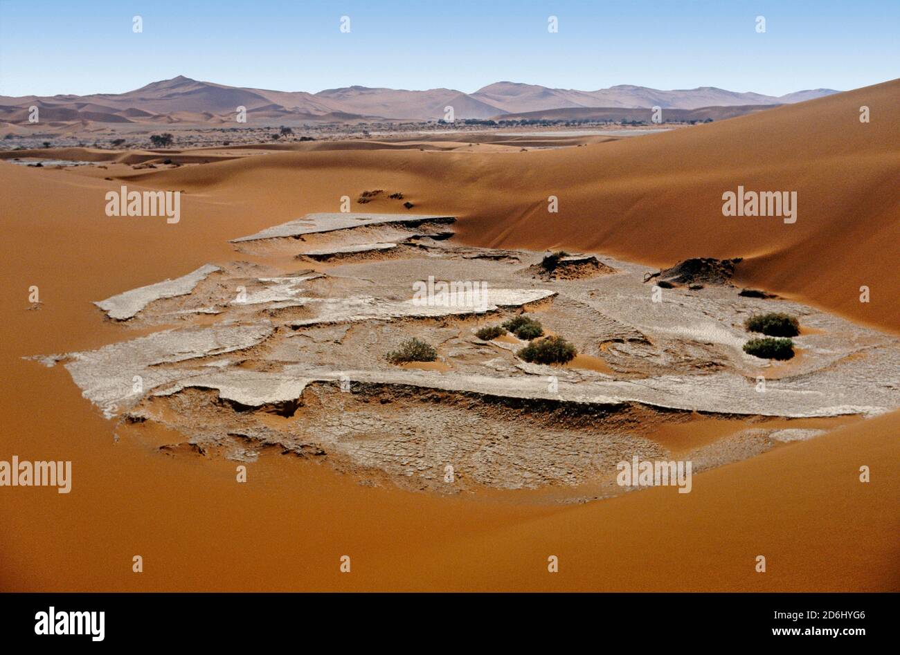 Désert de Namibie Banque D'Images