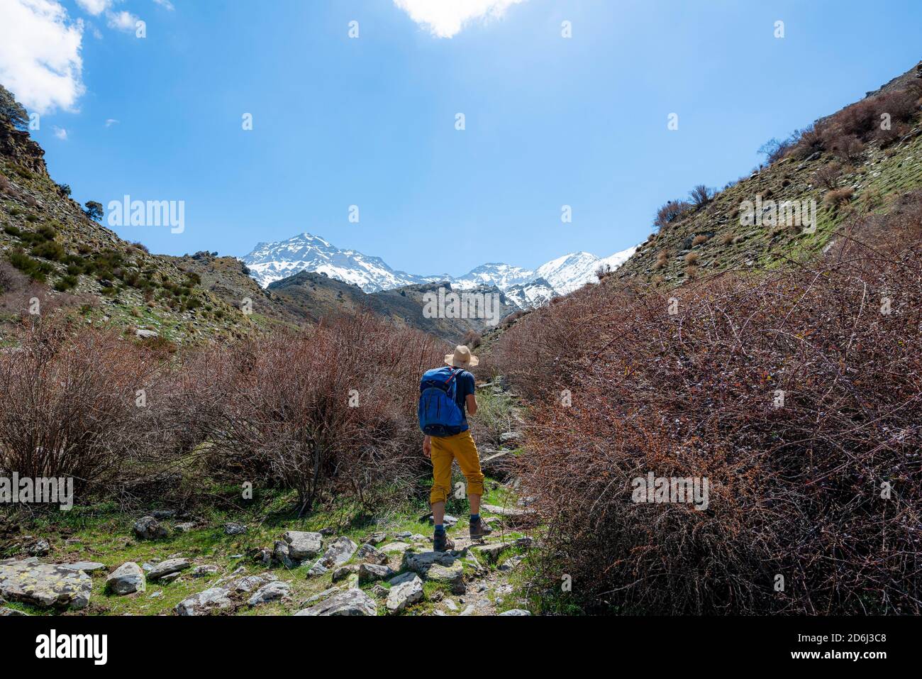 Randonnée sur un sentier de randonnée, sentier de randonnée Vereda de la Estrella près de Junta de los Rios, derrière la Sierra Nevada avec les sommets de Mulhacen et Pico Alcazaba Banque D'Images