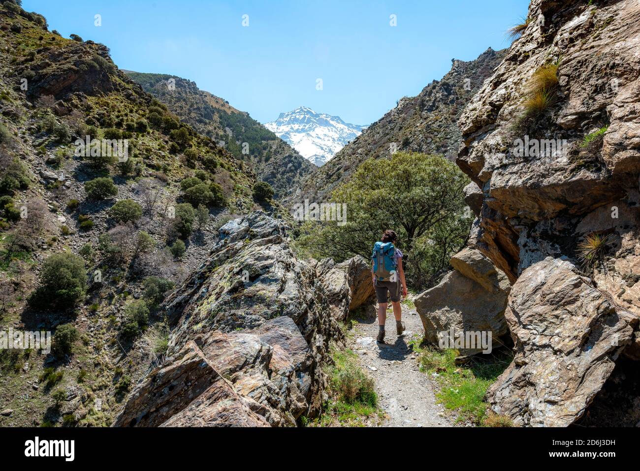 Randonnée sur un sentier de randonnée, sentier de randonnée Vereda de la Estrella, derrière la Sierra Nevada avec le pic de la Alcazaba, montagnes enneigées près de Grenade Banque D'Images