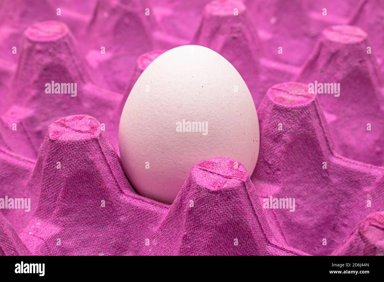 Œuf dans une boîte en carton mauve Banque D'Images