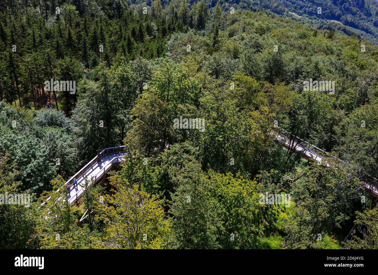 Promenade au sommet des arbres Salzkammergut am Gruenberg, Gmunden, Salzkammergut, haute-Autriche, Autriche Banque D'Images