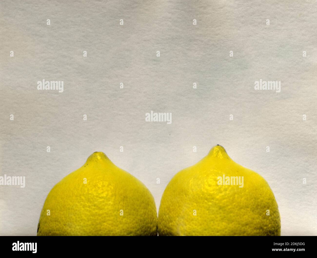 Citrons en forme de sein, Berlin, Allemagne Banque D'Images