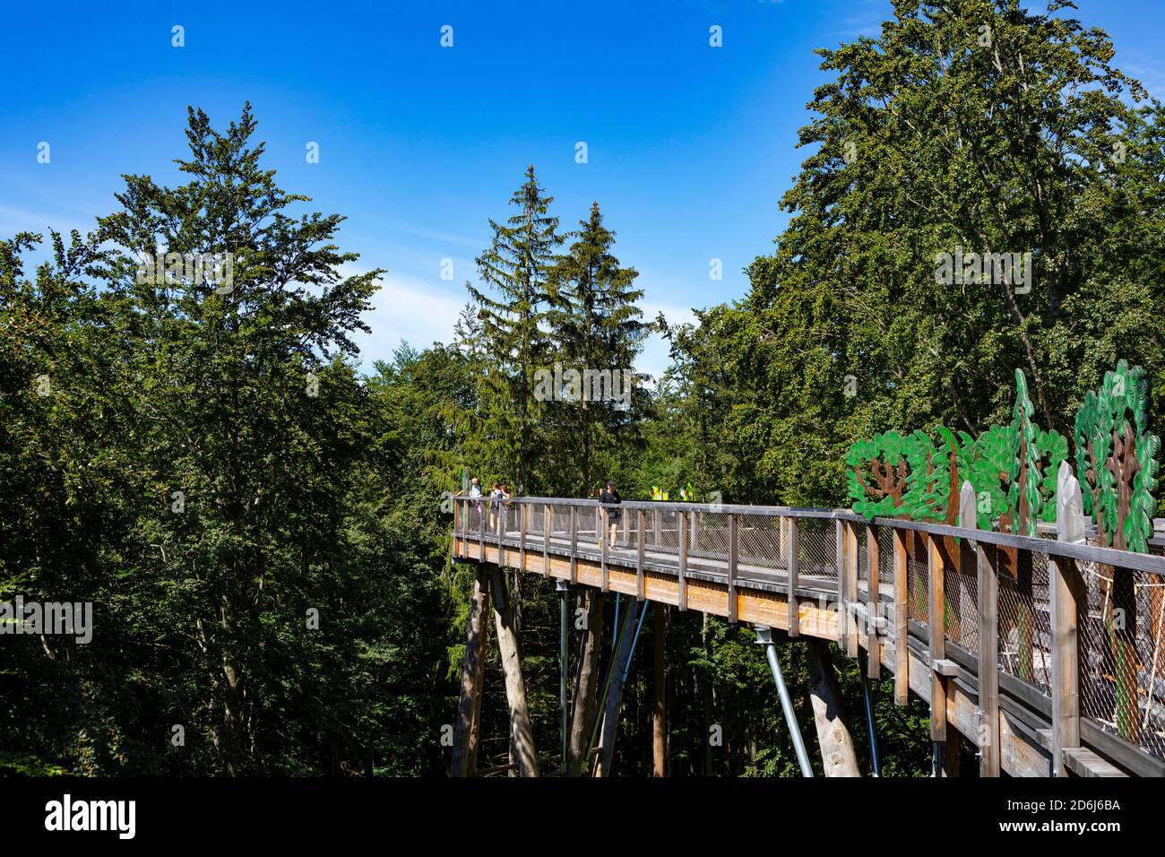 Promenade au sommet des arbres Salzkammergut am Gruenberg, Gmunden, Salzkammergut, haute-Autriche, Autriche Banque D'Images