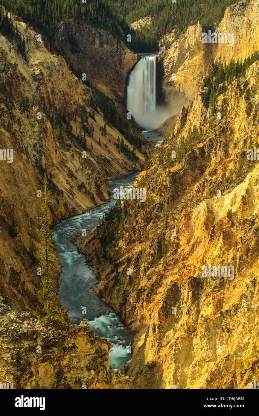 Lower Falls of the Yellowstone dans le parc national de Yellowstone Banque D'Images