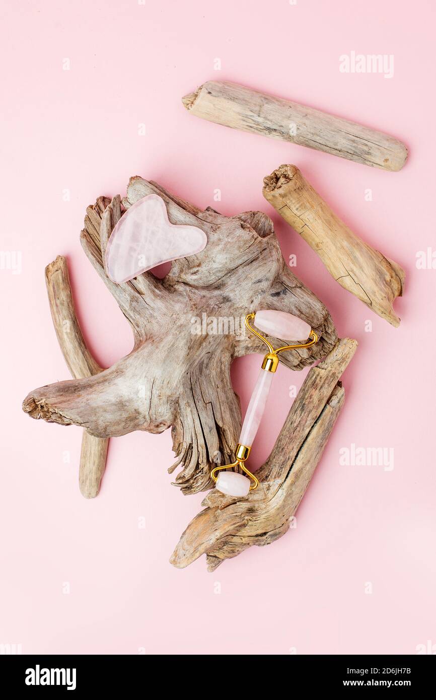 Masseur à quartz rose Gua Sha et rouleau de jade sur fond rose pastel. Pierre de Jade pour le soin du visage et du corps. Pousse horizontale, racine de plante ligneuse, élégant Banque D'Images