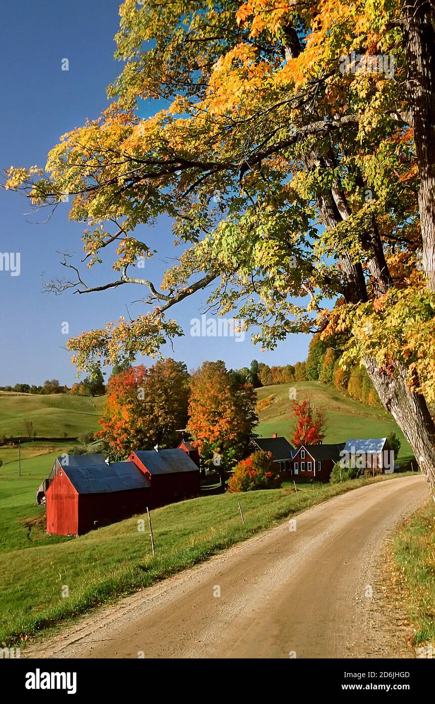 La ferme Jenny pendant l'automne - Redding, Vermont Banque D'Images