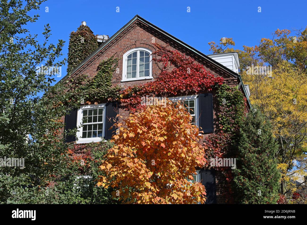 Pignon de maison traditionnelle en brique avec lierre et arbres dedans couleurs d'automne Banque D'Images