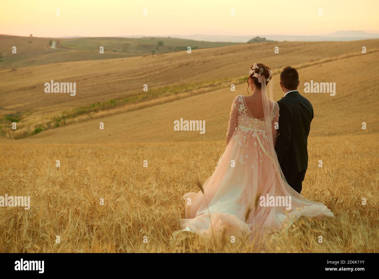 Couple marié dans le champ de blé dans la campagne romaine Banque D'Images